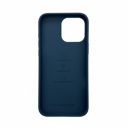 iPhone 16 Pro Max Case